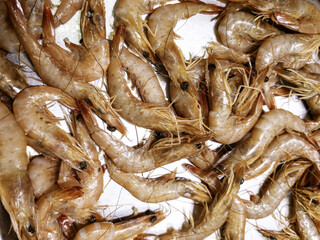 Prawns at the fishmonger