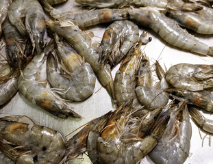 Prawns at the fishmonger