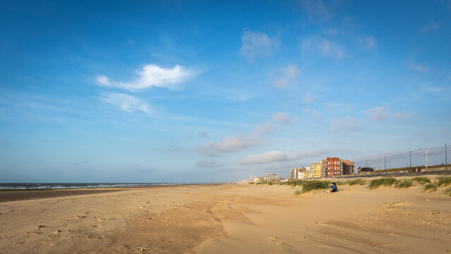 lonely woman sitting behind reed grass in the slipstream on the sand dunes sways in the wind, stormy weather at North Sea beach with reed grass bushes, panorama with sandy beach and sunset