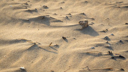 Wind makes structures in the sand at the North Sea, natural art on the sandy beach, a storm over...