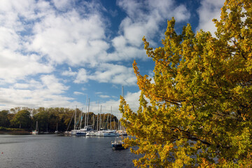 Blick auf den Plüschowhafen mit Schwentineflotte im Herbst