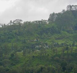View of the tea estate from The Watefall Villas in Sri Lanka.