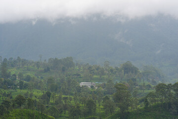 View of the tea estate from The Watefall Villas in Sri Lanka.