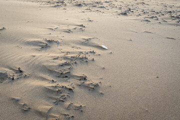 Wind makes structures in the sand at the North Sea, natural art on the sandy beach, a storm over the beach forms sand, a beautiful pattern