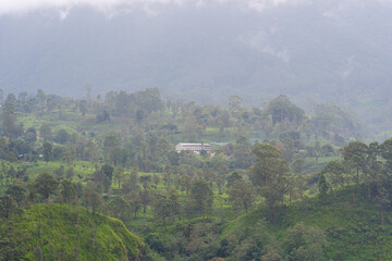 View of the tea estate from The Watefall Villas in Sri Lanka.
