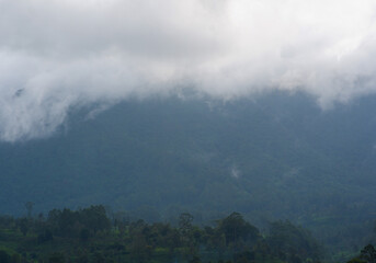 View of foggy tea estate from The Watefall Villas in Sri Lanka.