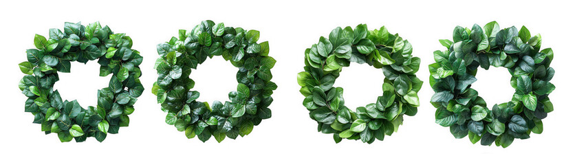 Four green wreaths isolated on transparent background