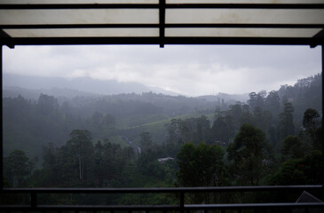 Misty hills and lush green forest landscape in Talawakelle, Sri Lanka.