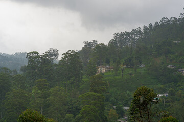View of the tea estate from The Watefall Villas in Sri Lanka.