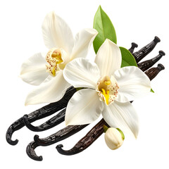 Realistic image of vanilla orchid flowers, green leaves, and dark vanilla beans