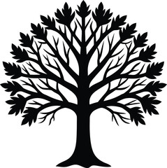 Obraz premium Silhouette of symmetrical European beech trees vector illustration