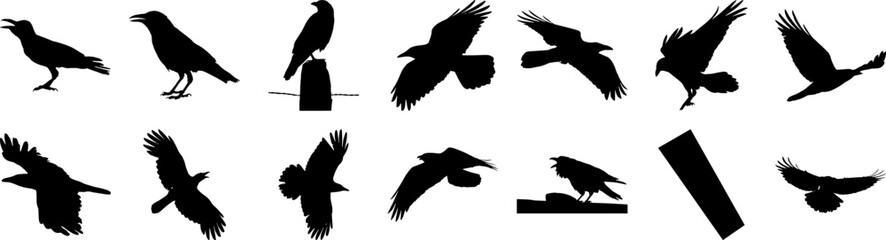 Obraz premium Vector art of collection of black bird silhouettes in various poses