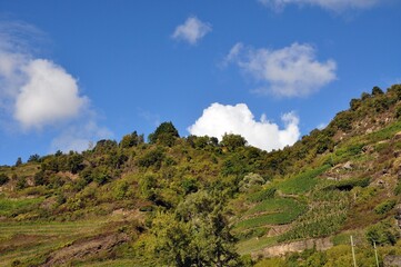 Zwischen St.Goar und Rüdesheim am Rhein