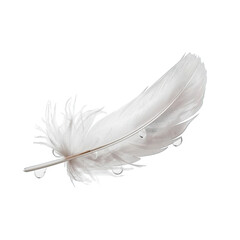 Obraz premium Delicate white feather with water droplets isolated on transparent background