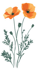 Vector illustration of orange California poppy flowers with green stems and leaves on white background in flat minimalist style for botanical design and nature graphics
