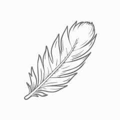 Obraz premium Detailed sketch of a soft feather with a fluffy tip