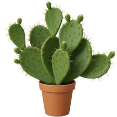 Green prickly pear cactus plant in a terracotta pot isolated on transparent background
