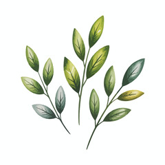 Watercolor illustration of delicate green leaves on white background
