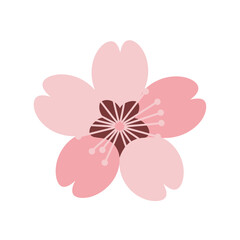 Stylized pink cherry blossom flower with dark brown center