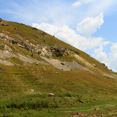 Rocky beauty grassy hill under blue sky with scattered clouds in summer landscape