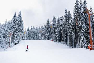 Young skier on snowy slope with chairlift and pine trees in Pamporovo ski resort, Rhodope Mountains, Bulgaria. Winter sports, outdoor recreation and family holiday in alpine landscape