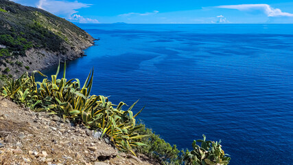Top view of the picturesque calm Mediterranean sea and the shoreline on a sunny day. The foreground is agave and cacti thickets.