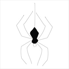 Full Spooky Cobweb with Hanging Spider Vector Illustration