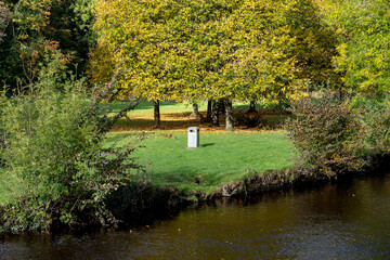 Obraz premium Riverbank Scene with Trees Grass and Litter Bin on an Autumn Morning