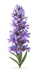 Obraz premium Lavender Flower - A Detailed Close-Up View.