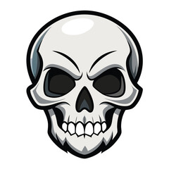 Anatomical Human Skull Drawing Vector Clipart