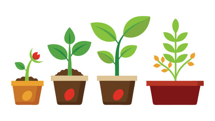 Collection of Potted Plants and Seedlings Vector Illustration