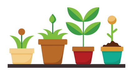 Set of Young Green Plants in Pots Isolated on White Background