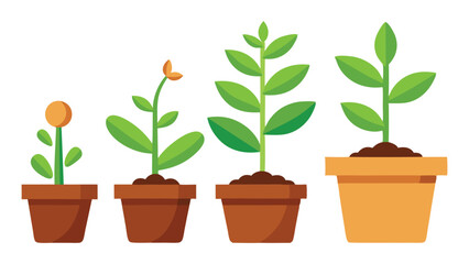 Botanical Seedling Set Isolated White Background