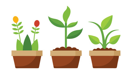 Young Plant Sprouts Collection Vector Illustration