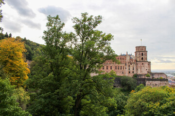 farshot showing the heidelberg castle to the right surrounded by autumn trees on a misty day 