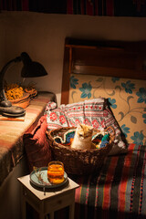 Fototapety na wymiar - Fototapeta24.pl