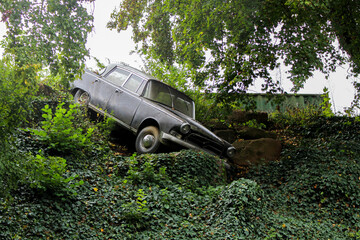 crashed and abandoned black oldtimer car lying in in a trench surrounded by poison ivy