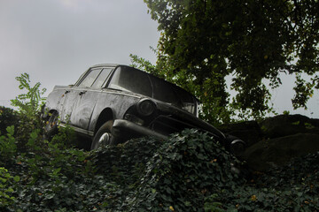 crashed and abandoned black oldtimer car lying in in a trench surrounded by poison ivy