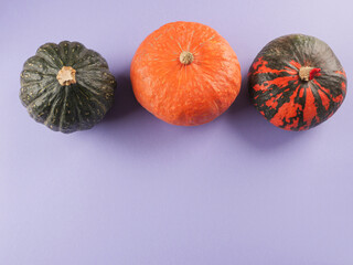 Three colorful pumpkins on purple background