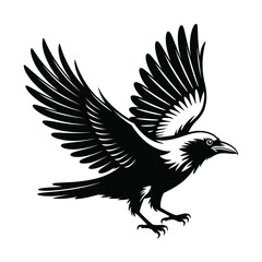 Black and white illustration of a raven in flight