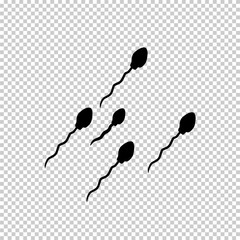 Sperm cells flat vector illustration isolated on transparent background