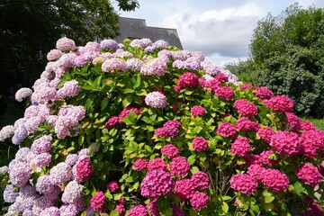 Fototapety na wymiar - Fototapeta24.pl