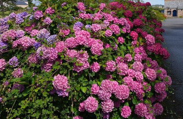 Fototapety na wymiar - Fototapeta24.pl