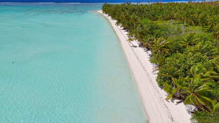 Luxury resort photo of Bora Bora tropical paradise island
with palm trees. Aerial 
perspective...