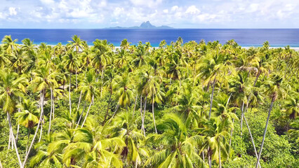 Luxury resort photo of Bora Bora tropical paradise islands
with palm trees. Aerial 
perspective...
