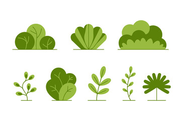 Illustration of various green bushes and plants
