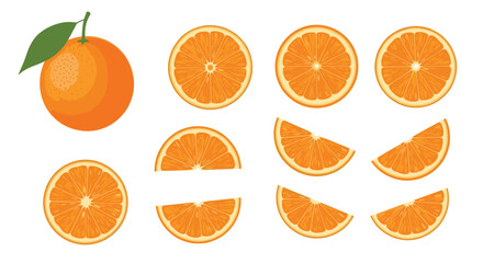 A selection of fresh and vibrant orange slices and a whole orange.