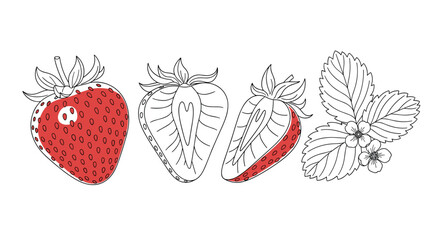 A simple hand-drawn sketch of red and white strawberries and leaves.