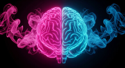 Vibrant illustration of the human brain, split into pink and blue halves, representing creativity, logic, and the power of thought