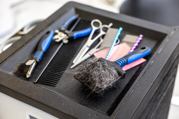 Dog grooming tools with fur preparing for pet care